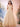 Off Shoulder Bodice Embroidery Lace Ball Gown Evening Dress - Champagne