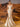 Bodice Lace Embroidery Mermaid Prom Dress Long - Champagne