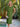 #color_olive-green