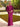 #color_fuchsia