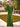 #color_olive-green