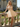 3D Rose Boned Off Shoulder Mini Ball Gown Prom Dress in Champagne