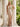 V-Neck Beaded Lace Embroidery Mermaid Prom Dress With Split in Champagne