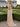 V-Neck Ruched Bodice Pleated Chiffon Long A-Line Prom Dress With Shawl in Champagne