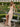 V-Neck Ruched Bodice Pleated Chiffon Long A-Line Prom Dress With Shawl in Champagne