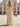 Cut Front Pleated A-Line Lace Up Long Prom Dress With Shawl - Champagne