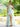 Removable Off Shoulder Boned Bodice Ruffle Printing Chiffon Ball Gown Prom Dress - Sage Floral