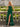 Crystal Lace Embroidery Chiffon Mermaid Prom Dress With Slit - Emerald Green
