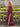 Crystal Lace Embroidery Chiffon Mermaid Prom Dress With Slit - Fuchsia
