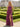 Crystal Lace Embroidery Chiffon Mermaid Prom Dress With Slit - Fuchsia