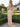 Sweetheart Ruched Chiffon Long Pleated Mermaid Prom Dress With Shawl - Champagne