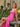 Sweetheart Ruched Chiffon Long Pleated Mermaid Prom Dress With Shawl - Hot Pink