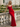 Backless V-Neck Lace Up Ruffle Sheath Long Prom Dress in Red