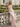Backless V-Neck Lace Up Ruffle Sheath Long Prom Dress in Pink