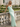 Backless V-Neck Lace Up Ruffle Sheath Long Prom Dress in Mint Green