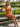 One Shoulder Lace Up Midi Sheath Prom Dress in Burnt Orange