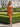One Shoulder Lace Up Midi Sheath Prom Dress in Burnt Orange