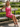 One Shoulder Lace Up Midi Sheath Prom Dress in Hot Pink