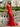 Halter Backless Zipped Long Mermaid Prom Dress With Split in Red