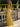 Scoop Neck Backless Criss Cross Long Mermaid Prom Dress With Split in Yellow