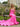 Sexy V-Neck Cut Front Long Mermaid Prom Dress - Hot Pink