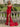 Cut Front Backless Lace Up Long Mermaid Prom Dress - Red