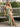 V-Neck Ruched Lace Up Long Mermaid Prom Dress WIth Split in Sage Green