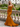 Scoop Neck Backless Lace Up Long Mermaid Prom Dress in Burnt Orange