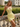 Strapless Sparkly Ruched Mini Sheath Prom Dress in Yellow