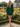 Long Sleeves Deep V-Neck Satin Backless Mini Prom Dress - Emerald Green