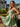 Bow Scoop Mini Bridal Ball Gown Prom Dress in Sage Green