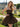 Ruffle Strapless Ball Gown Mini Prom Dress With Bow in Coffee
