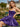 Removable Big Bow Bridal Mini Ball Gown Prom Dress in Purple