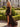 Cut Front Luxury Crystal Ruffle Long Ball Gown Prom Dress in Coffee