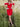 Off Shoulder Satin Sheath Ruffle Mini Prom Dress - Red