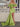 #color_sage_green