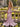 Cut Front Crystal Bodice Long Mermaid Prom Dress in Dusty Rose