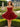 Hand Beading Boned Mini Ball Gown Prom Dress With Bow - Red