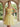 Appliques Illusion Bodice Tulle Ball Gown Short Hoco Dress in Yellow