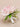 Artificial Silk Roses Flower Brooch Elegant - Red