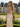 Hand Beading Crystal Illusion Boned Long Mermaid Prom Dress in Champagne